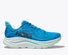Hoka Clifton 10 Wide.