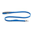 RUFFWEAR RW FRONT RANGE LEASH BLUE POOL