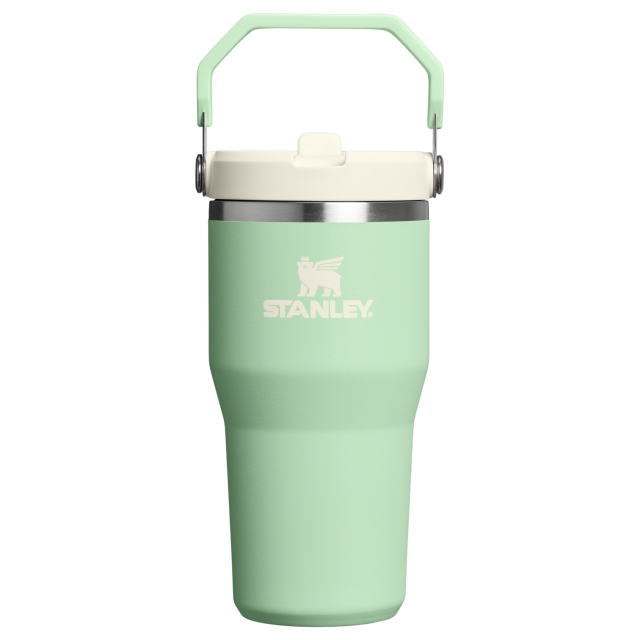 Stanley The Iceflow Flip Straw Tumbler 20 Oz PISTACHIO