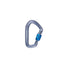 Black Diamond Hotforge Screwgate Carabiner Gray