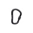 Black Diamond Rocklock Screwgate Carabiner Black