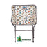Big Agnes Mica Basin Camp Chair - camp furniture.