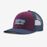 Patagonia P-6 Logo Trucker Hat - Hats.