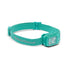Black Diamond Cosmo Headlamp in Clean Green