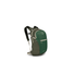 OSPREY PACKS Daylite Plus GREEN CANOPY/GR