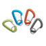 Black Diamond Micro Accessory Carabiner Small No Color
