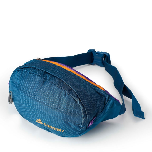 GREGORY MOUNTAIN PRODUCTS NANO WAISTPACK 9971