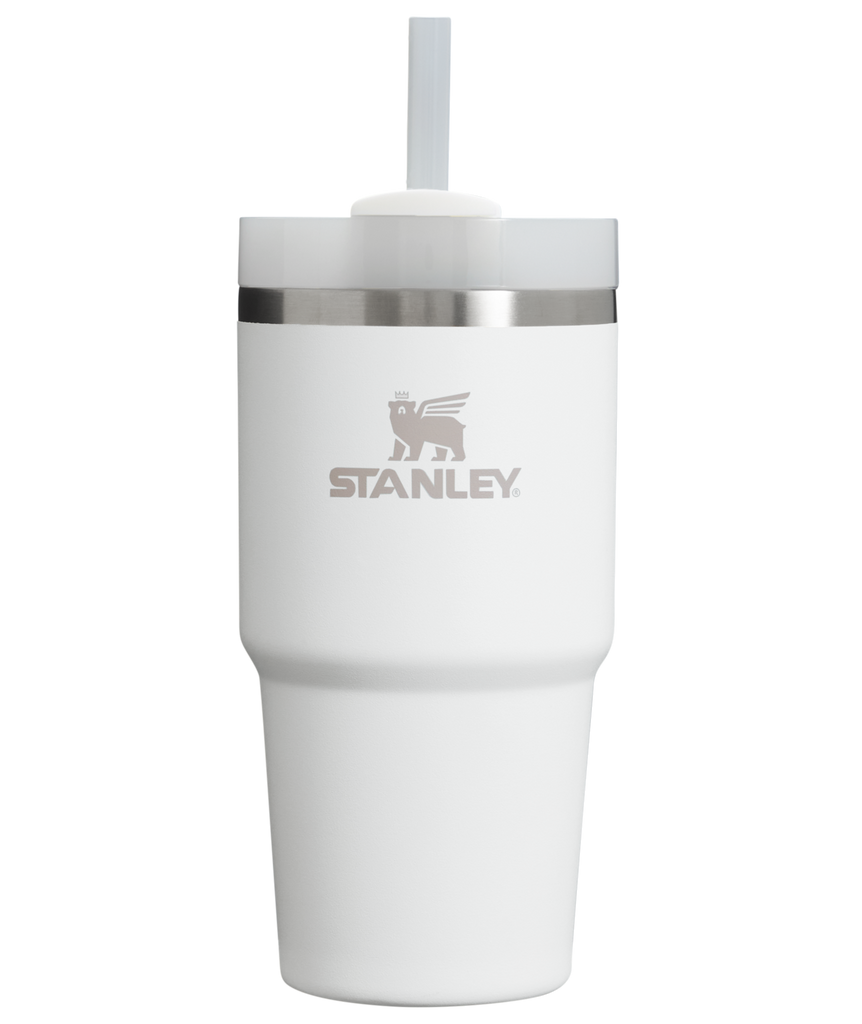 Stanley The Quencher H.20 Flowstate Tumbler | 20 oz FROST