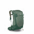 Osprey Stratos 24 Pine Leaf Green