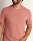 Toad&Co Men's Boundless Jersey Crew.