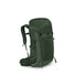 Osprey Talon 33 Green Canopy-Pine Leaf
