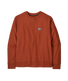 Patagonia Daily Crewneck Sweatshirt.