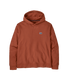 Patagonia Daily Hoody Sweatshirt.
