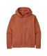 Patagonia Daily Hoody Sweatshirt.