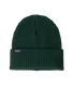 Patagonia Fishermans Rolled Beanie Cascade Green