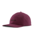 Patagonia Graphic Trad Cap - Hats.