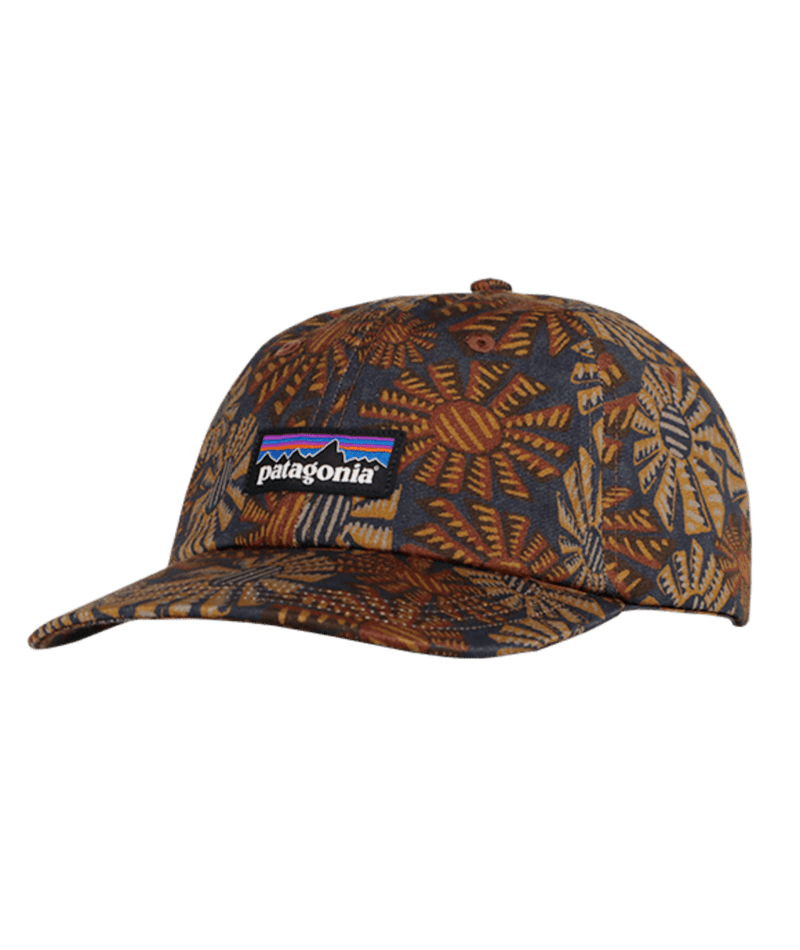 Patagonia P-6 Label Trad Cap SWBE