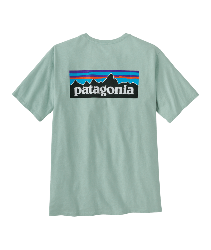 Patagonia Men's P-6 Logo Responsibili-Tee WPYG