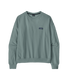 Patagonia Women's Daily Crew.