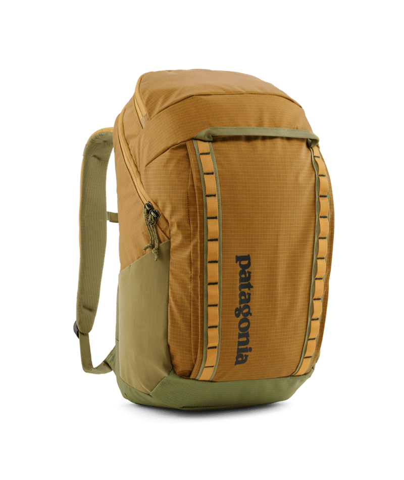 Patagonia Black Hole Pack 32L PFGD