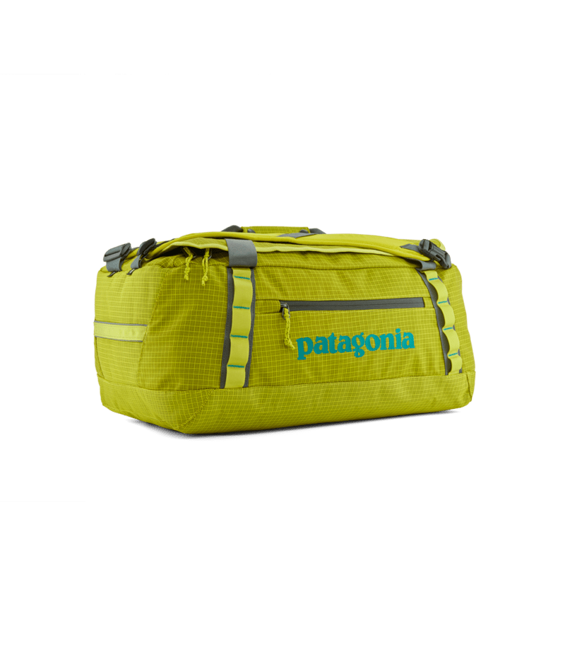 Patagonia Black Hole Duffel 40L PHGN