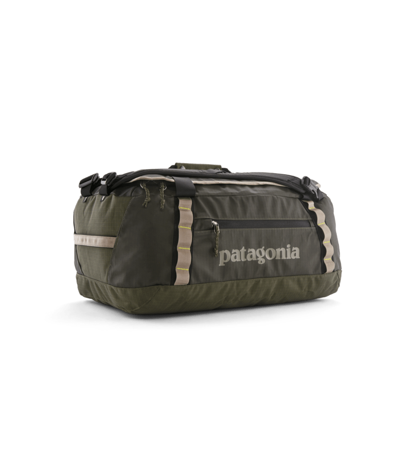 Patagonia Black Hole Duffel 40L PNGR