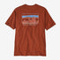 Patagonia Men's '73 Skyline Organic T-shirt.