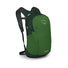 Osprey Daylite GRNBELT/GRNCNPY