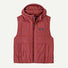 Patagonia Women's Light Gust Hooded Vest.