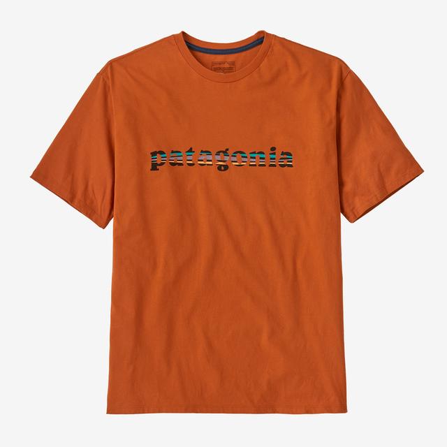 PATAGONIA M '73 Text Logo Organic T RTLR