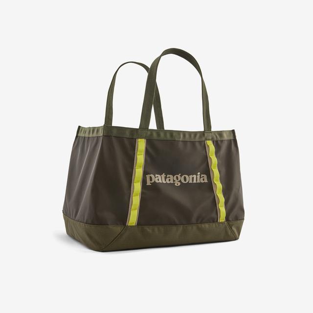 PATAGONIA Black Hole Tote 25L PNGR