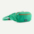 Patagonia Terravia Hip Pack - Waistpacks & Slings.