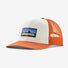 Patagonia P-6 Logo Trucker Hat - Hats.