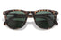 Sunski Seacliff TORTOISE FOREST