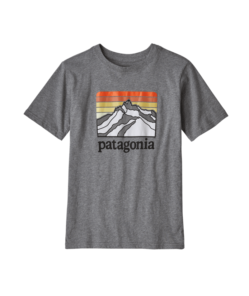 Patagonia Boys' Graphic Organic T-Shirt | J&H Outdoors