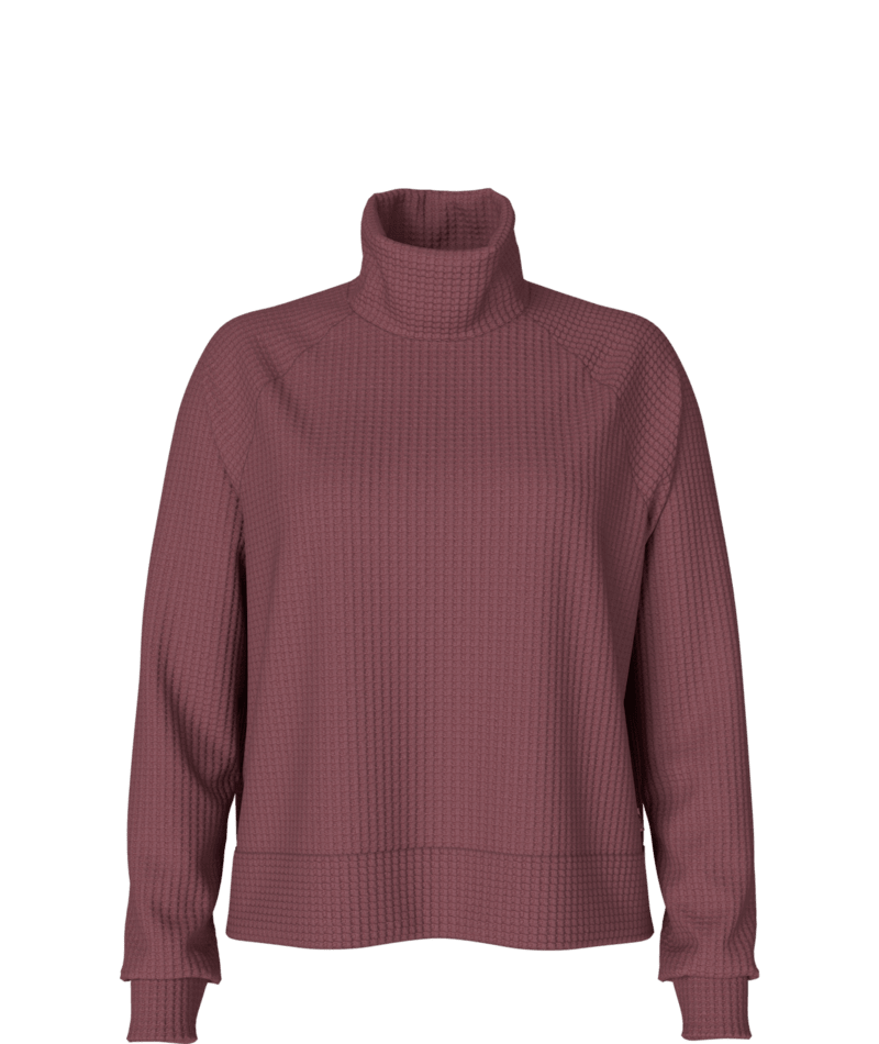 The North Face Women's Long Sleeve Mock Neck Chabot | J&H Outdoors