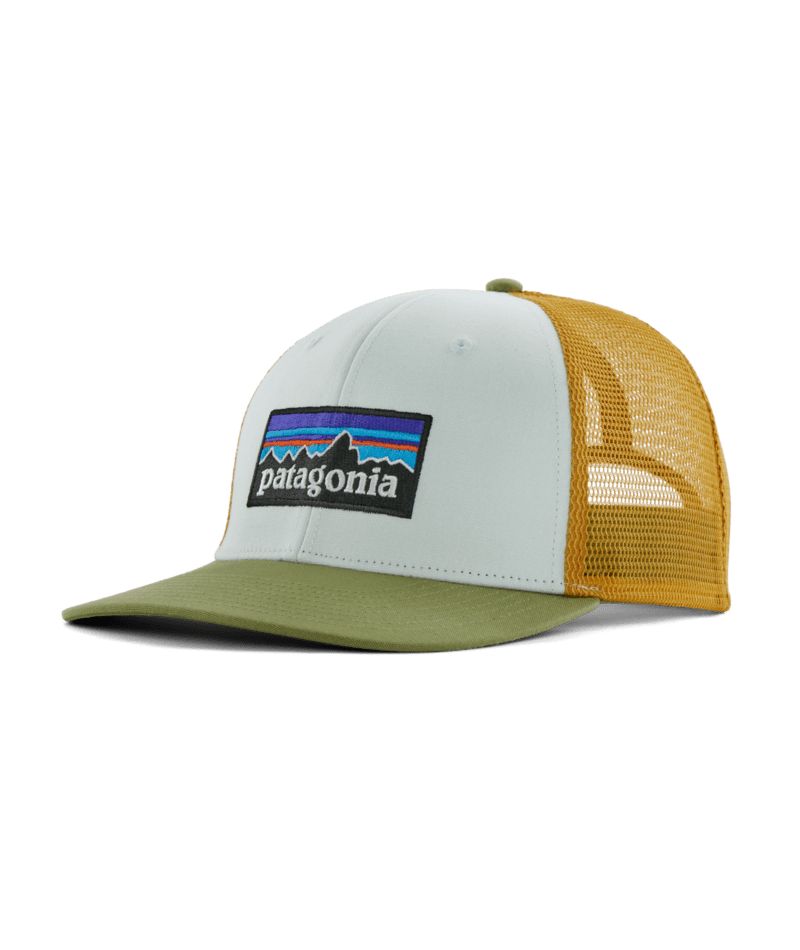 Patagonia P-6 Logo Trucker Hat WPYG