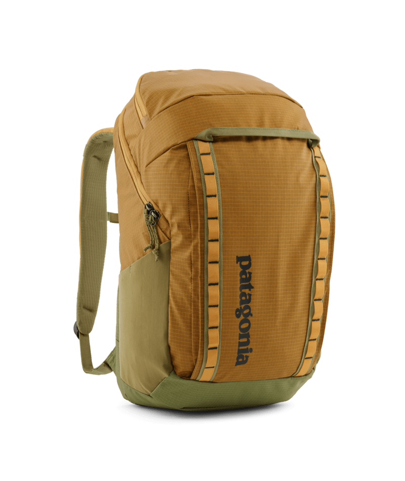 Patagonia 32L Black Hole Pack Black w/Black