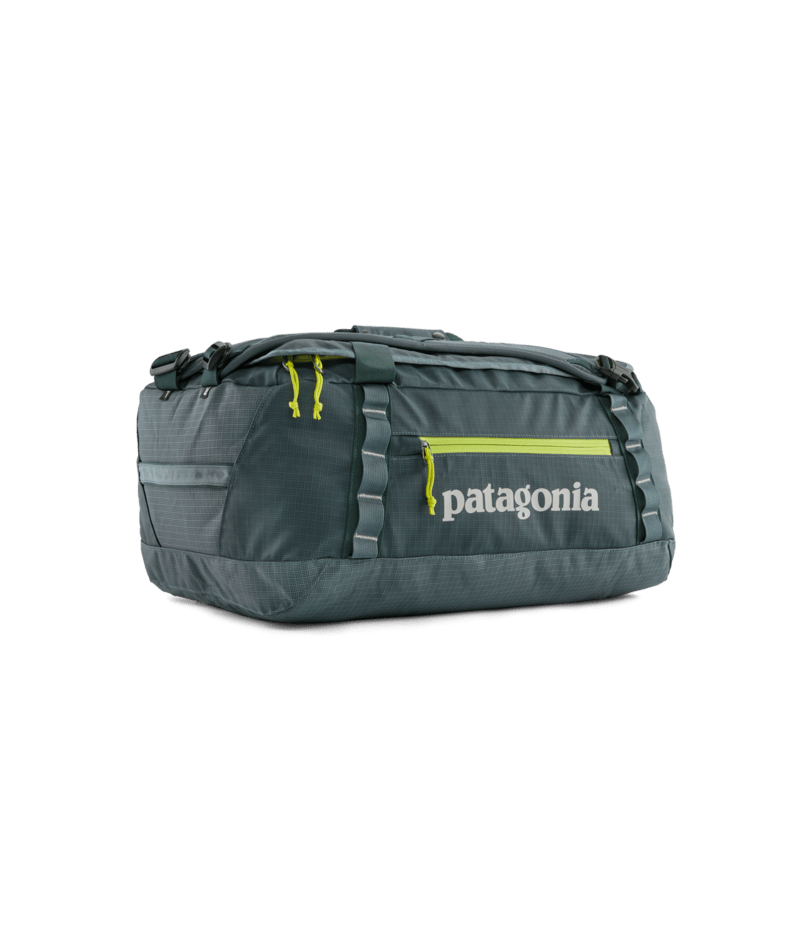 patagonia black hole duffel 40l peppergrass green Black Hole Duffel 40l